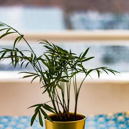 Canaima Corner With Heated Pool *